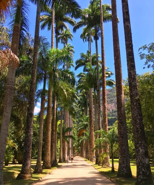 Jardim Botânico do RJ