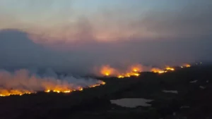 Mata pegando fogo