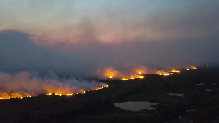 Mata pegando fogo