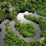 Rio Amazonas