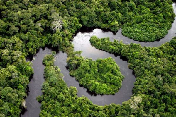 Rio Amazonas 