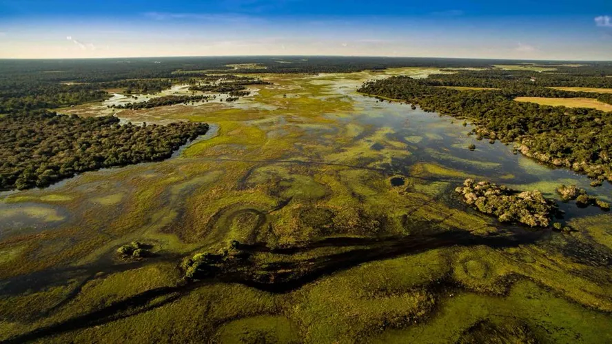 Vista aérea de área alagada do Pantanal