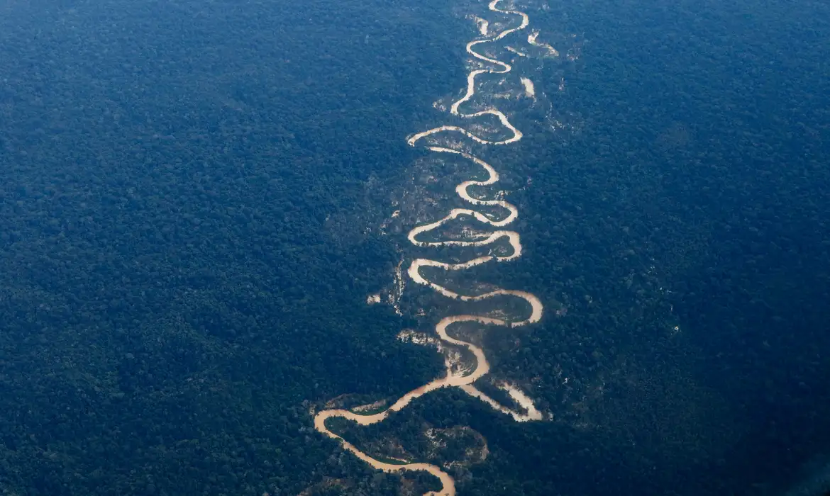 Vista aérea de curvas de rio em floresta