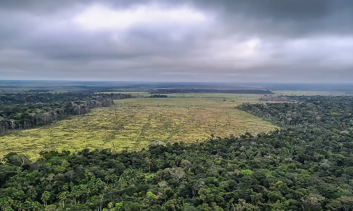 Crédito rural e desmatamento são alvos da PF