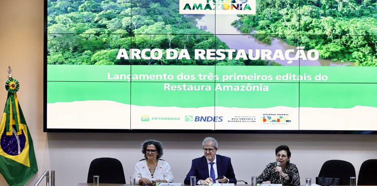 Restauração da Amazônia