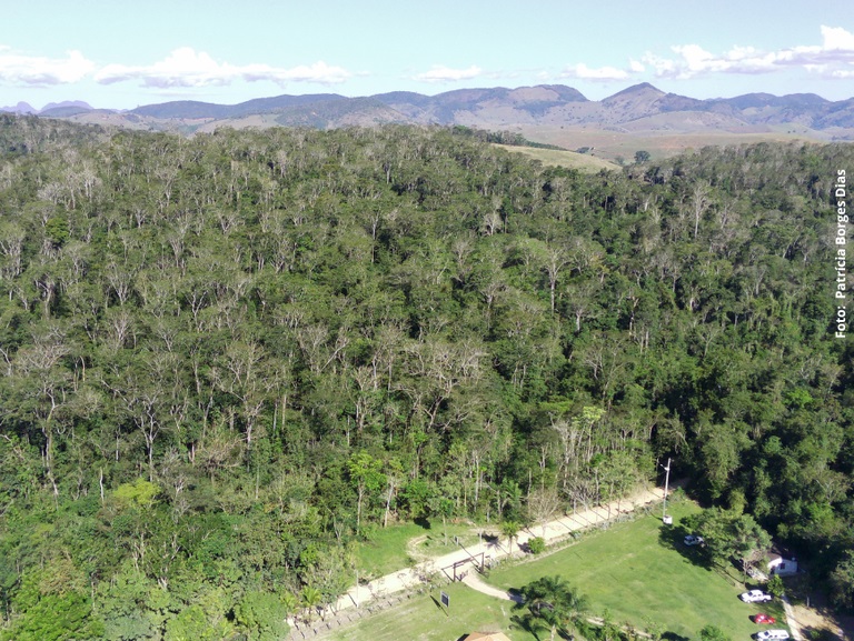 Estudo alerta para o impacto da seca na Mata Atlântica. Queda de 70% na diversidade de espécies e proliferação de exóticas ameaçam o bioma