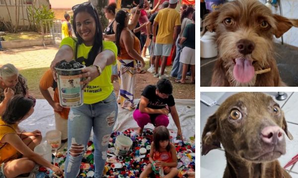 Separar tampinhas faz bem: voluntários tranformam reciclagem em ajuda a animais abandonados