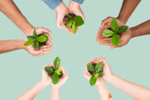 Direitos humanos e natureza