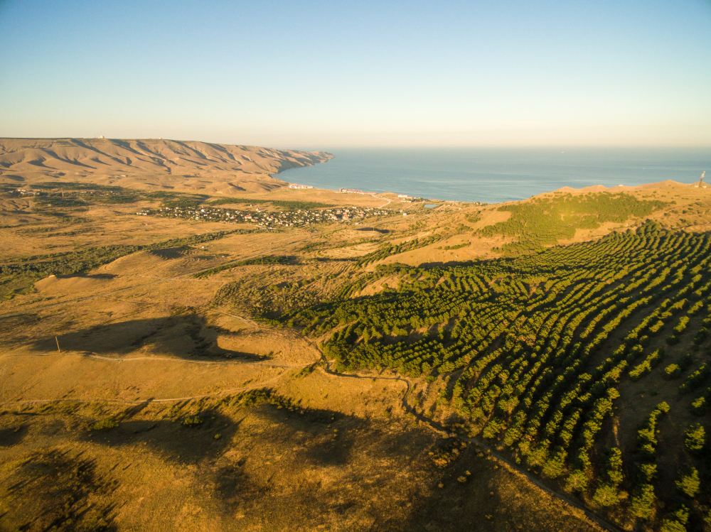 Mar ao campo
