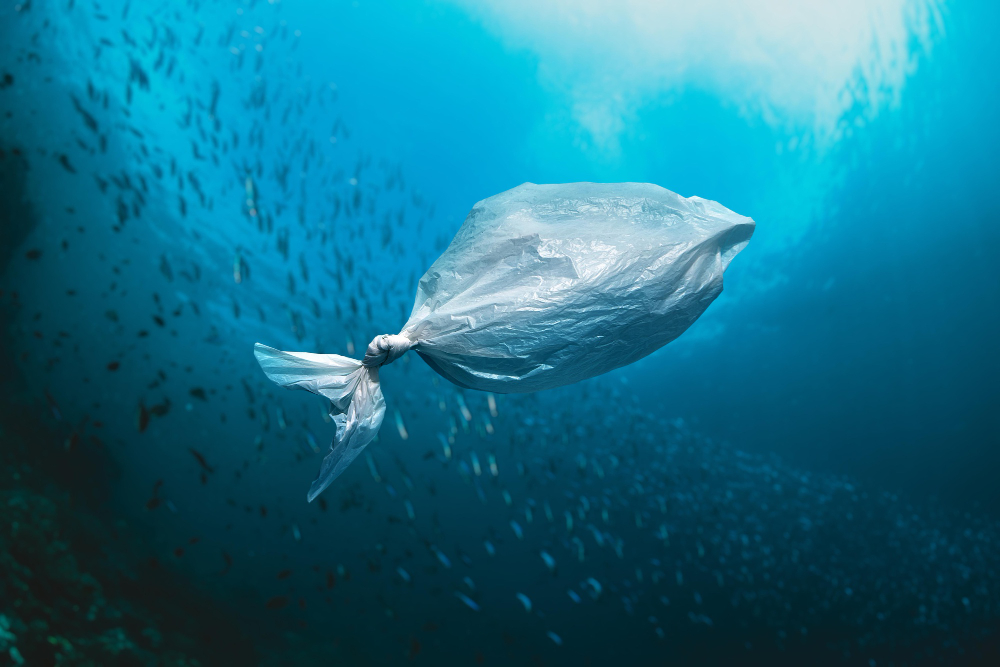 Sustentabilidade Brasil