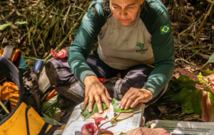A pesquisadora Rafaela Forzza participa desde 2017 do Programa Monitora - Foto: Jessica dos Anjos/ICMBio