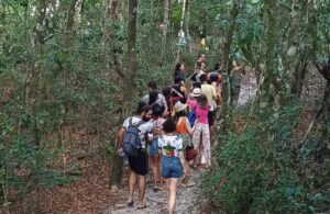 Parque Itaúnas