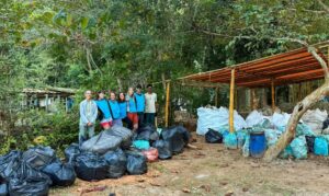 Voluntários coleta