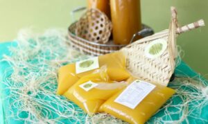 Alimentos paraenses