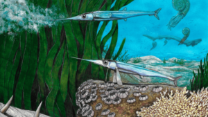 Peixe pré-histórico