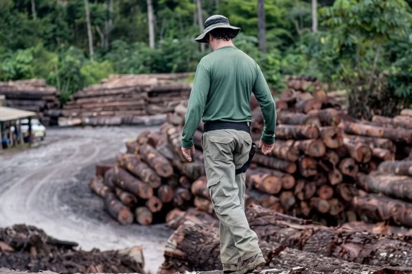 Brasil articula negociação internacional contra crimes ambientais