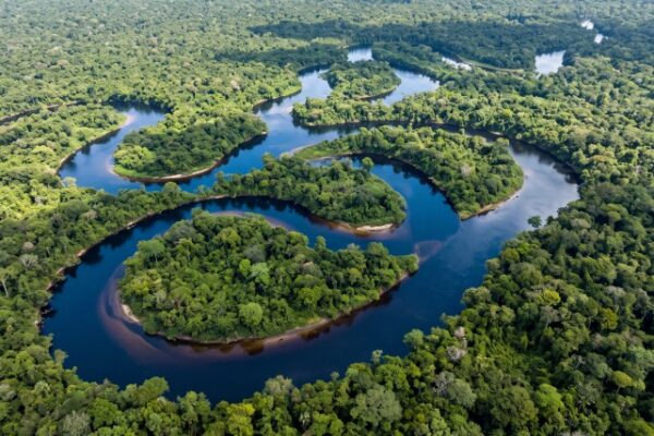 Holanda anuncia até R$ 2,5 bilhões para preservar florestas tropicais